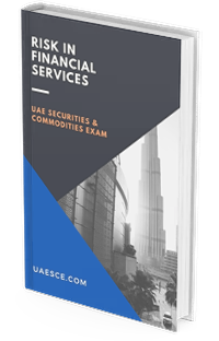 Risk in Financial Services (90 Days Access)